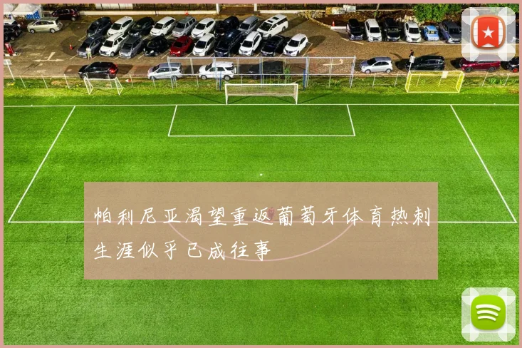 帕利尼亚渴望重返葡萄牙体育热刺生涯似乎已成往事