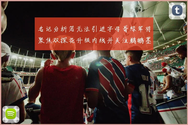 名记分析若无法引进字母哥绿军将聚焦双探花升级内线并关注鹈鹕墨菲